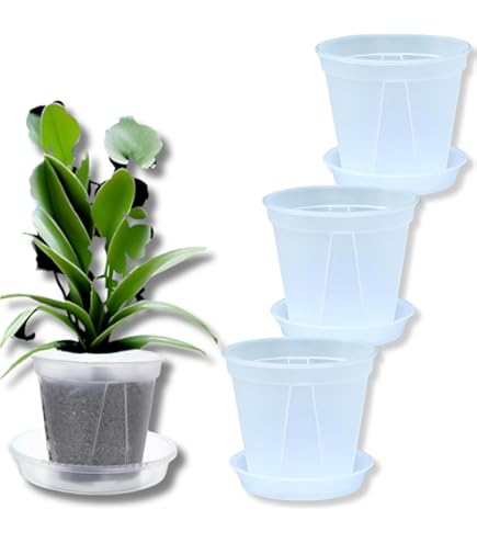 スワロフスキー　小さなオーキッド 洋蘭鉢 スワロフスキー 小さなオーキッド 洋蘭鉢